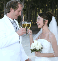 Happy couple toasting their celebration